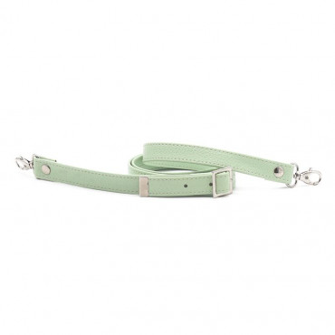 Mistral Eco-Leather Bag Strap Light Green| Tessiland