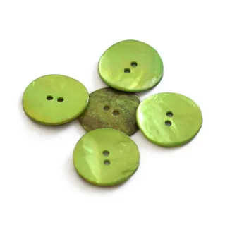 Boutons Akoya en nacre 5pz Lime