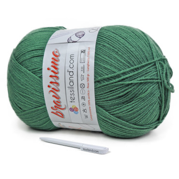 Bravissimo microfibre acrylique pelote 500g Salvia