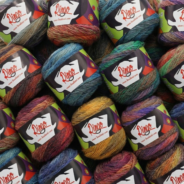 Ringo misto lana sfumato gomitolo 100g