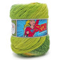 Superkate pura lana superwash sfumato gomitolo 100g