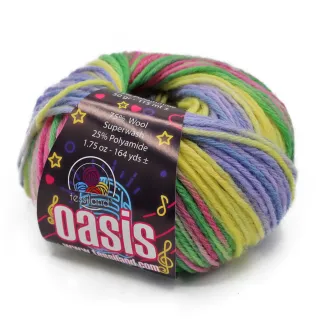 Oasis shaded virgin wool blend yarn ball 50g Lituania