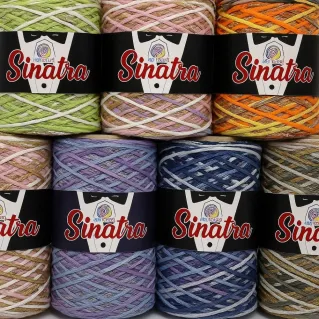 Sinatra fettuccia misto viscosa lurex sfumato rocca 200g