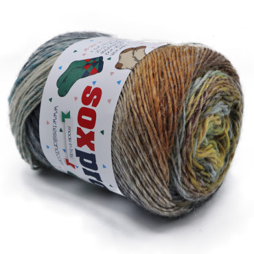 Soxpro misto lana sfumato superwash per calze gomitolo 100g Fiero