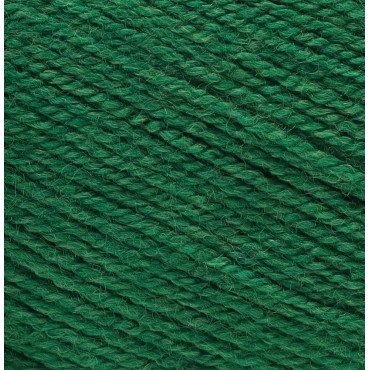 Chuck acrilico top quality gomitolo 100g Verde Bandiera