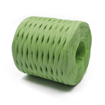 Rafia naturale per borse e bomboniere a uncinetto 200g Verde