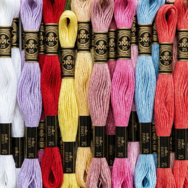 Moulinè special DMC 6 Capi Cotone per ricamo