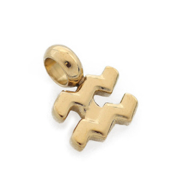 Ciondolo Zodiacale Acquario Argento Acquario Oro