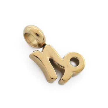 Ciondolo Zodiacale Acquario Argento Capricorno Oro