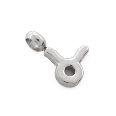 Ciondolo Zodiacale Acquario Argento Toro Argento