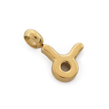 Ciondolo Zodiacale Acquario Argento Toro Oro