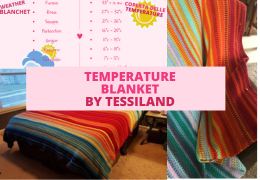 Temperature Blanket or Weather Blanket.