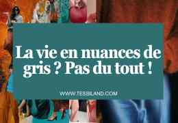 Une vie en nuances de gris ? Très peu pour moi.