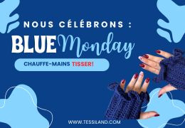 Blue Monday 2026 : mitaines au crochet (tutoriel facile avec EDITH)