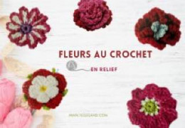 Fleurs en Relief au Crochet : La Tendance Créative qui Réchauffe l'Hiver 2024.